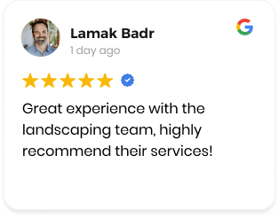 O-Reviews-4-1
